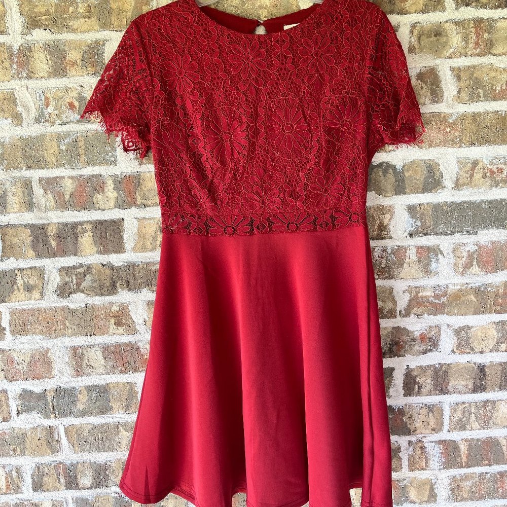 Francesca's Burgundy Dress